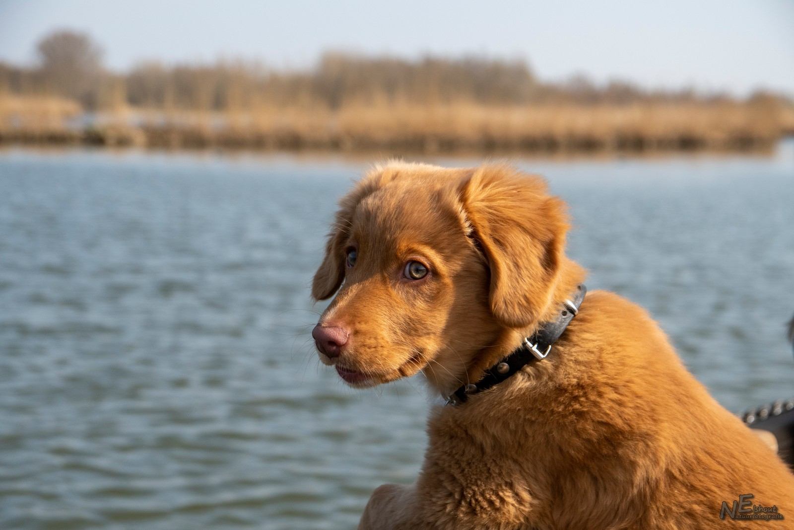 Nellie over de reling van ons bootje