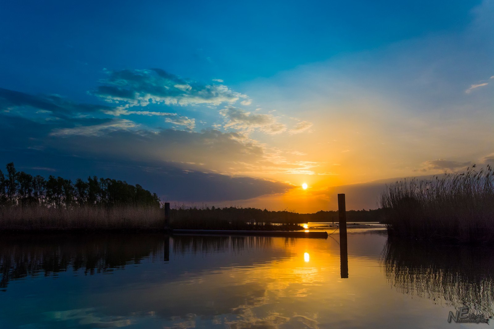 Zonsopkomst in de Brabantse Biesbosch